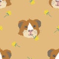 Vector guinea pigs seamless pattern.